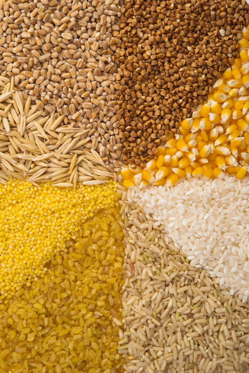 五谷杂粮 蕴藏于日常的健康宝藏