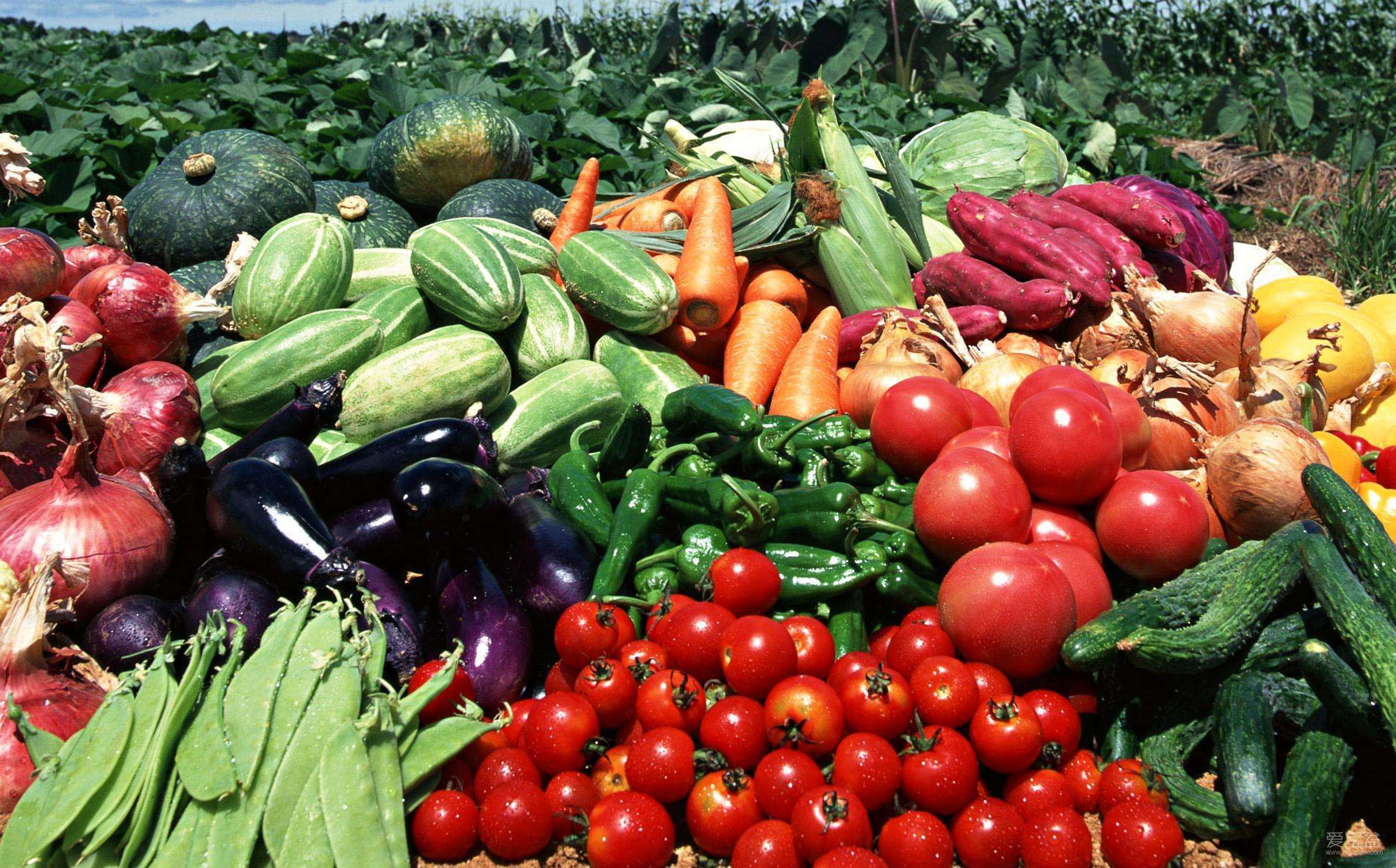 农产品“三品一标”再升级，农业农村部部署实施四大行动，引领农业高质量发展