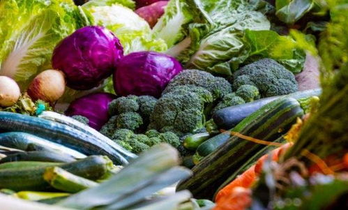 实施五大行动，全面提升优质绿色农产品供给能力