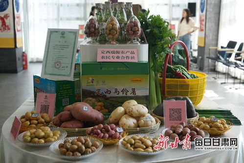 安定大地展新颜 从黄土高原到小康生活的金色蜕变