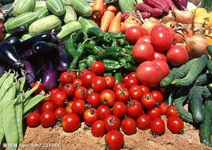 农产品价格走低与明年CPI展望