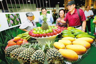 台湾优质农产品在上海展览中的魅力与展望